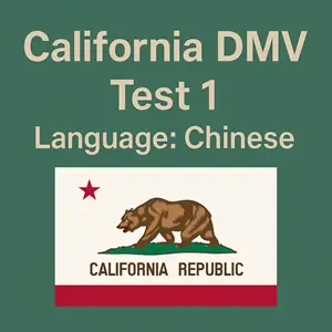 CA DMV Practice Test in Chinese